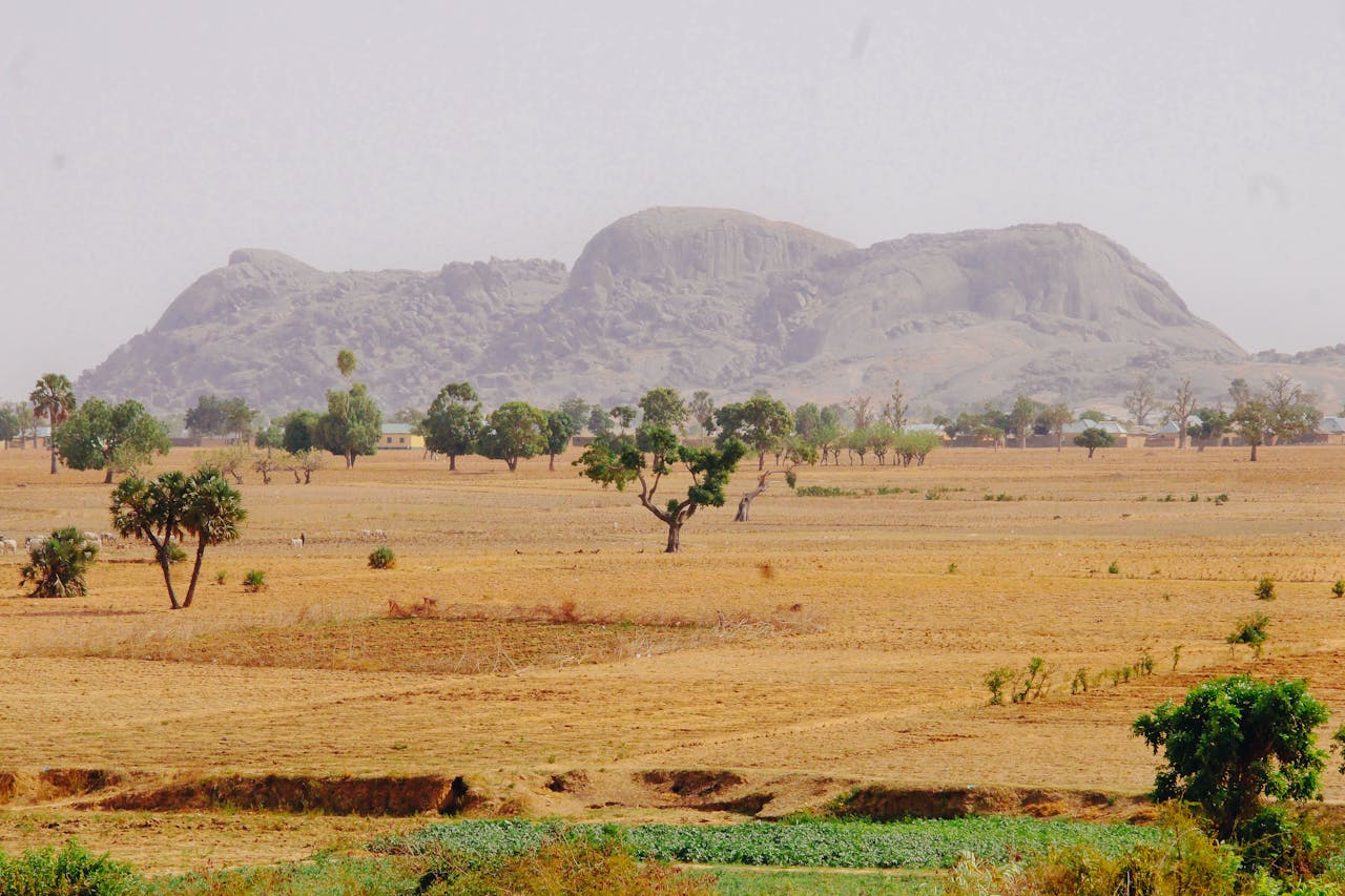 Expansive view of Nigerian savannah with distant hills and trees under a clear sky.