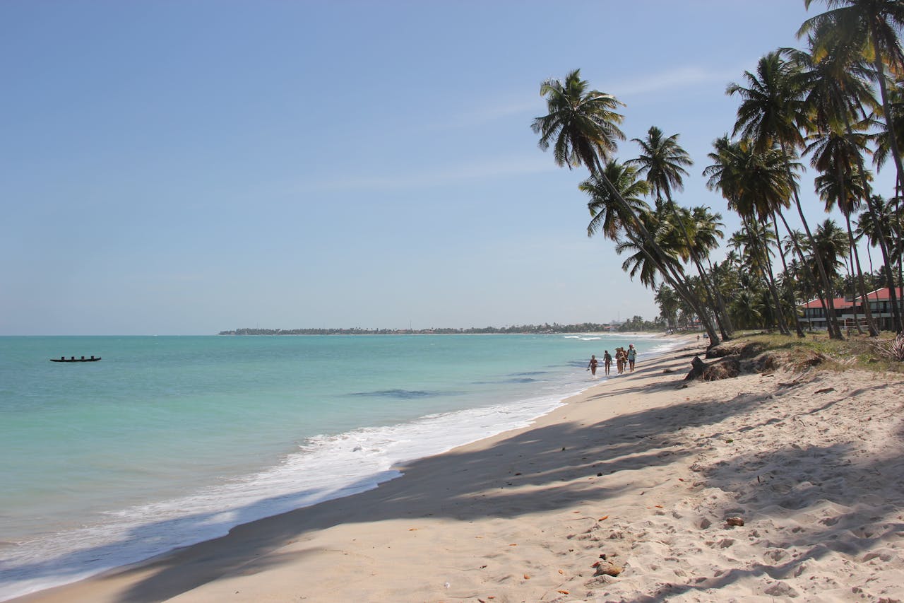 Scenic view of a tropical Brazilian beach with coconut palms and clear blue ocean waters.